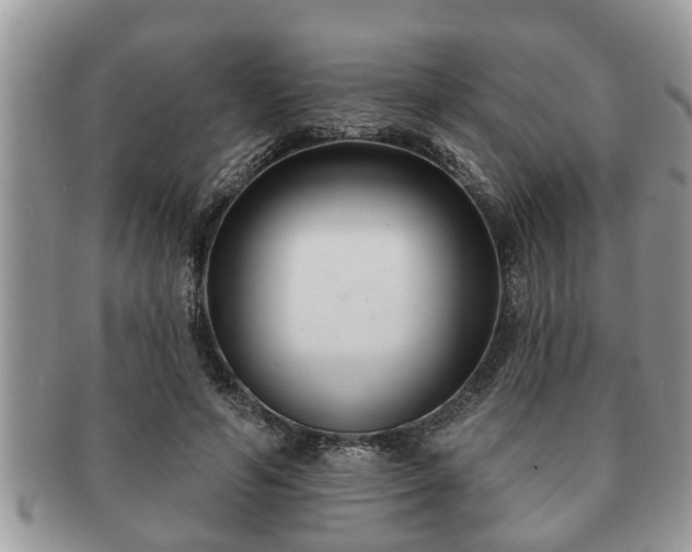 X0000091170594200708161500