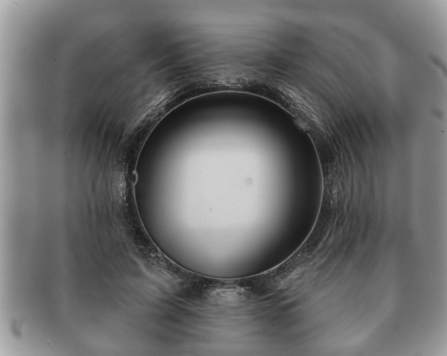 X0000091170595200708161500