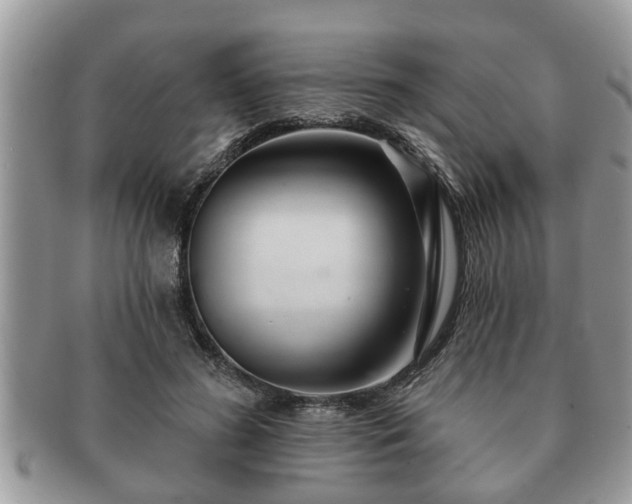 X0000091170596200708161500