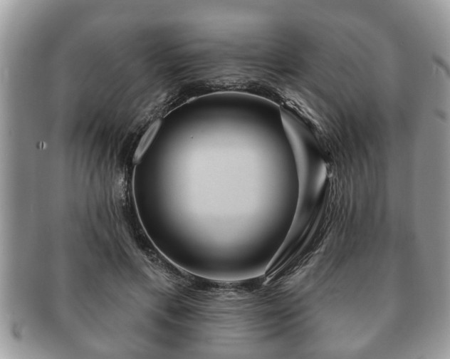 X0000091170597200708161500