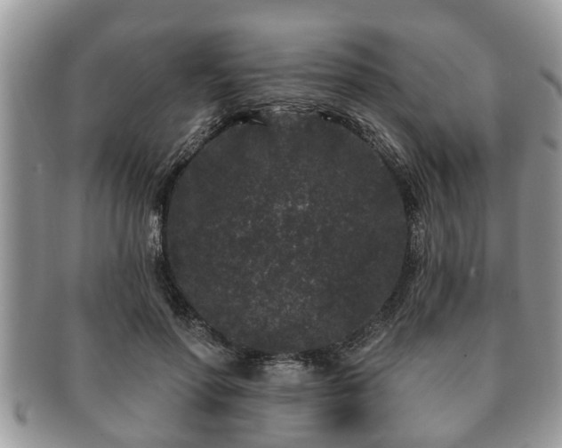 X0000091170598200708161500