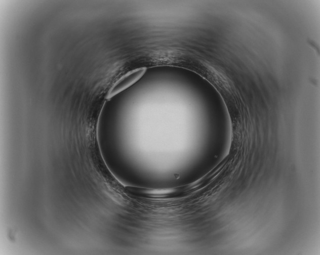 X0000091170601200708161500