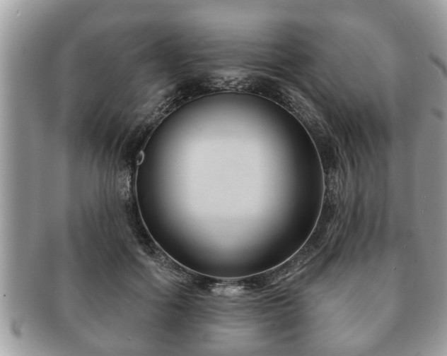 X0000091170602200708161500