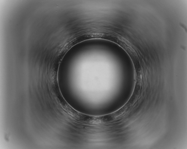 X0000091170604200708161500