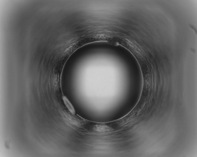 X0000091170605200708161500