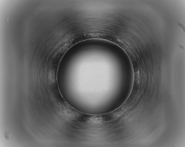 X0000091170606200708161500