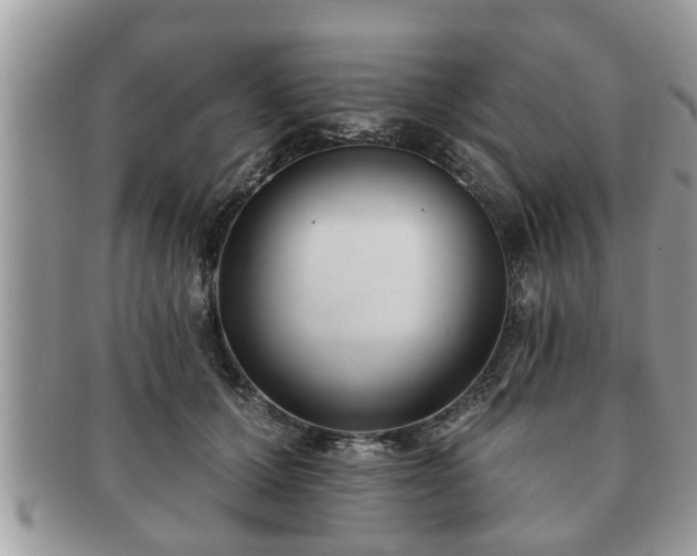 X0000091170607200708161500