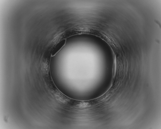 X0000091170609200708161500