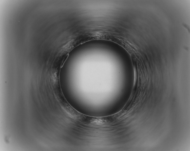 X0000091170611200708161500