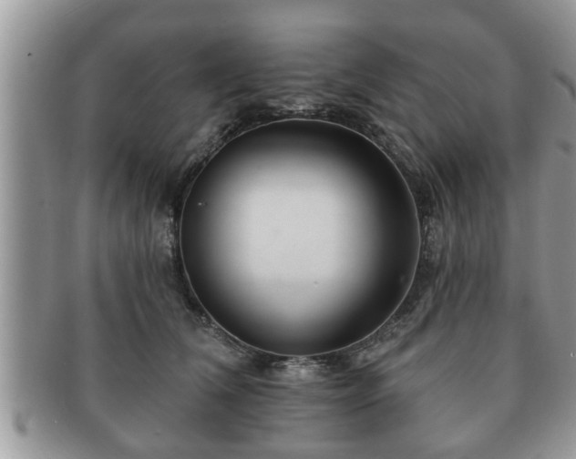 X0000091170612200708161500