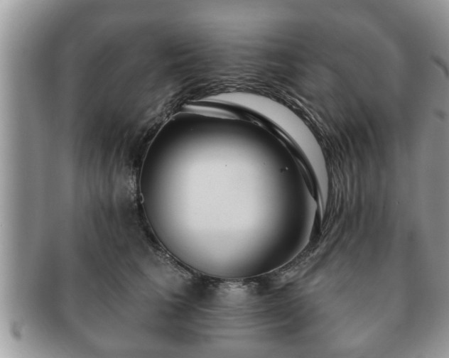 X0000091170613200708161500