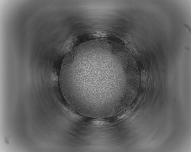 X0000091170614200708161500