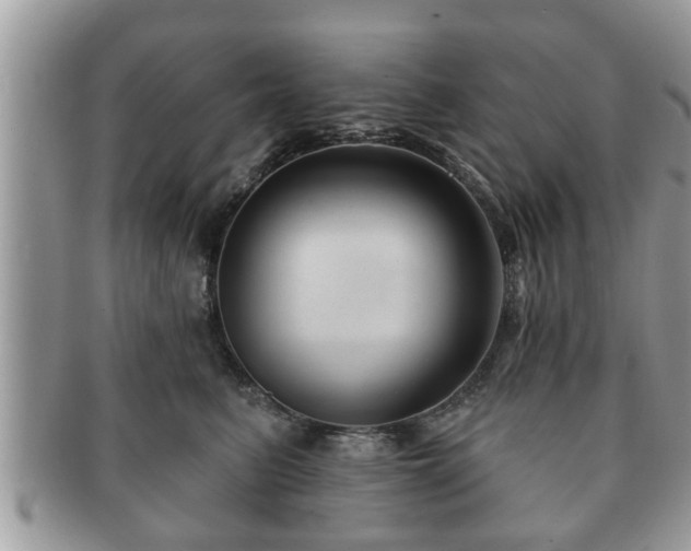 X0000091170615200708161500