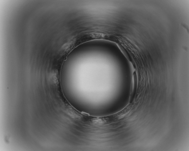 X0000091170616200708161500