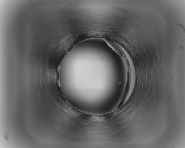 X0000091170617200708161500