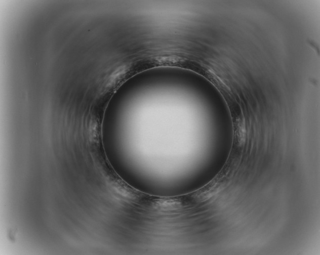 X0000091170619200708161500