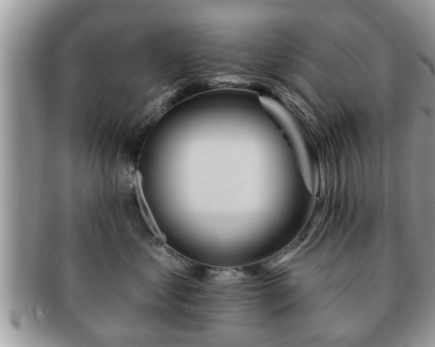 X0000091170621200708161500