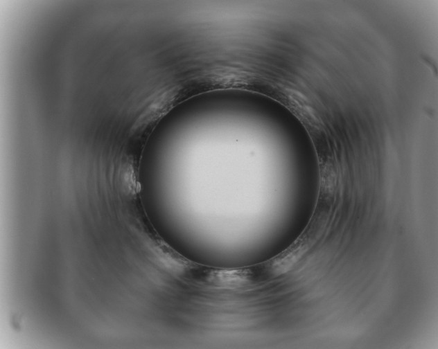 X0000091170622200708161500