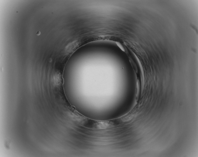 X0000091170623200708161500