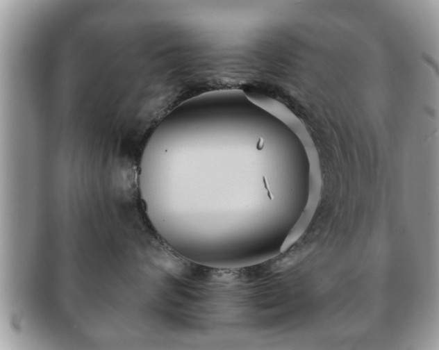 X0000091170624200708161500