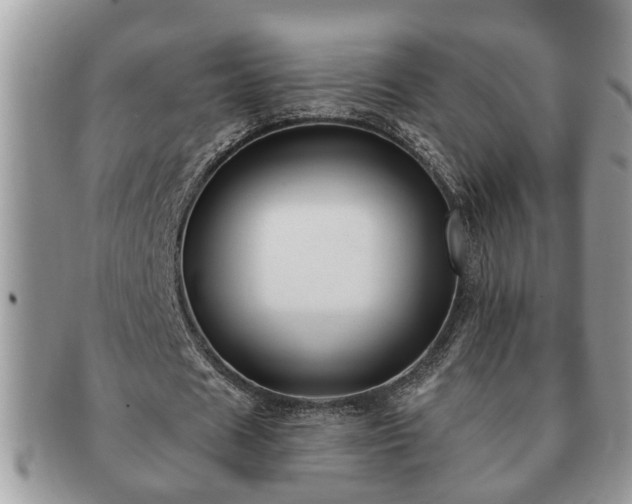 X0000091170625200708161459