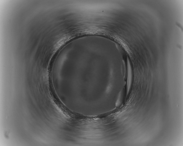 X0000091170626200708161459