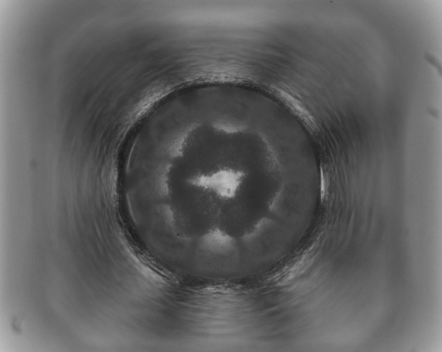 X0000091170627200708161459