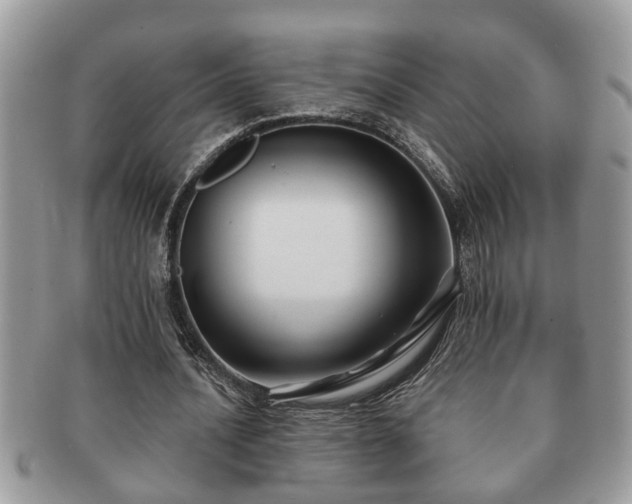 X0000091170628200708161459