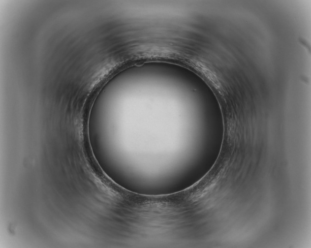 X0000091170629200708161459