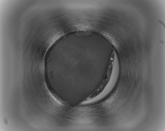 X0000091170630200708161459