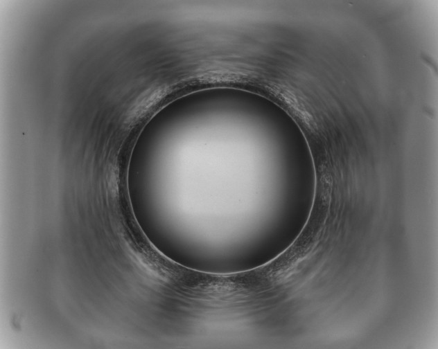 X0000091170631200708161459