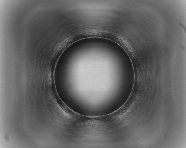 X0000091170633200708161459