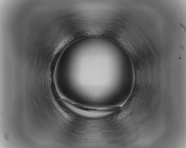 X0000091170634200708161459