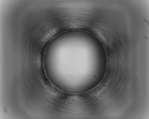 X0000091170635200708161459