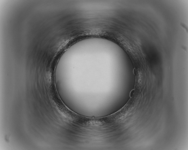 X0000091170636200708161459