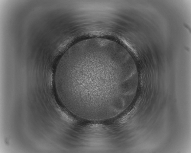 X0000091170637200708161459