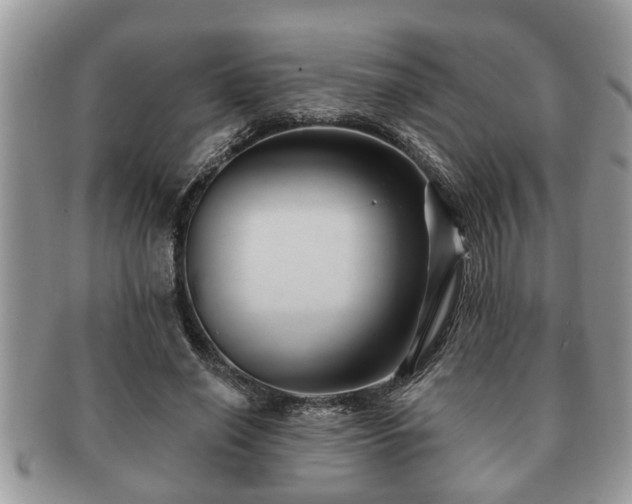 X0000091170638200708161459