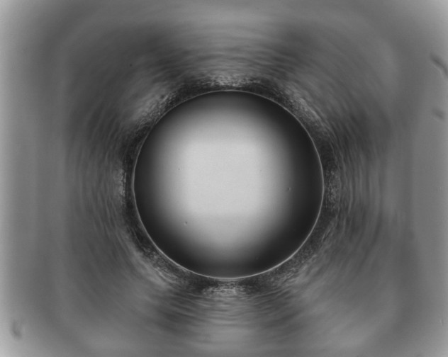 X0000091170639200708161459