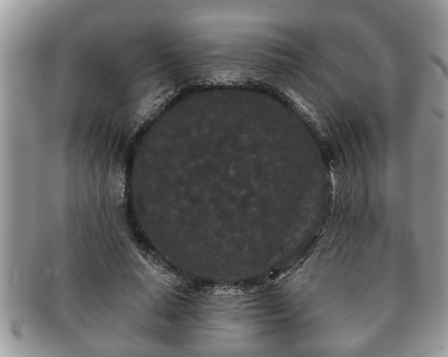 X0000091170640200708161459