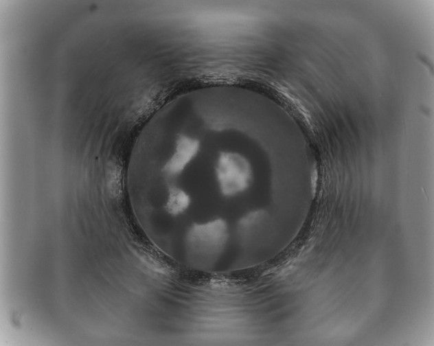 X0000091170641200708161459