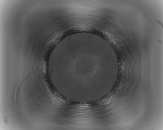 X0000091170643200708161459