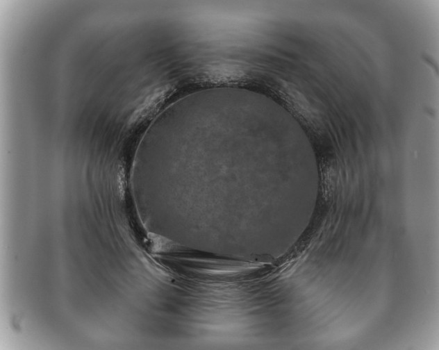 X0000091170644200708161459