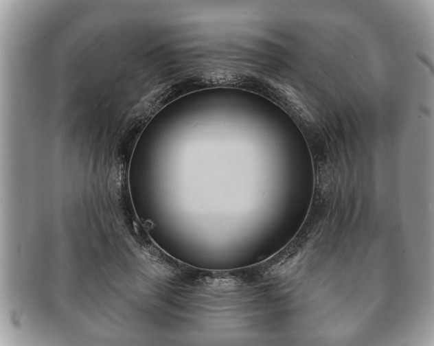 X0000091170645200708161459