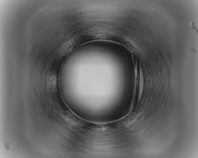 X0000091170646200708161459