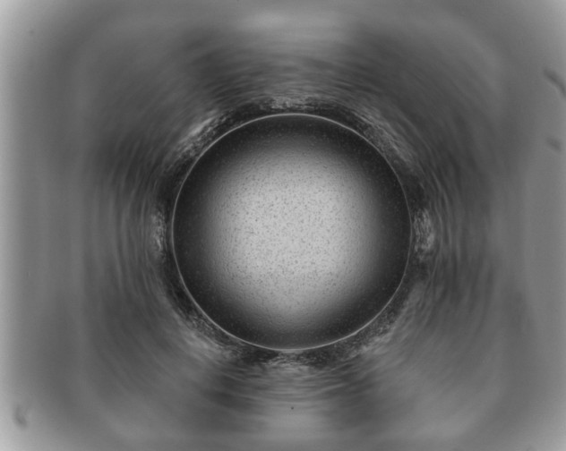 X0000091170648200708161459