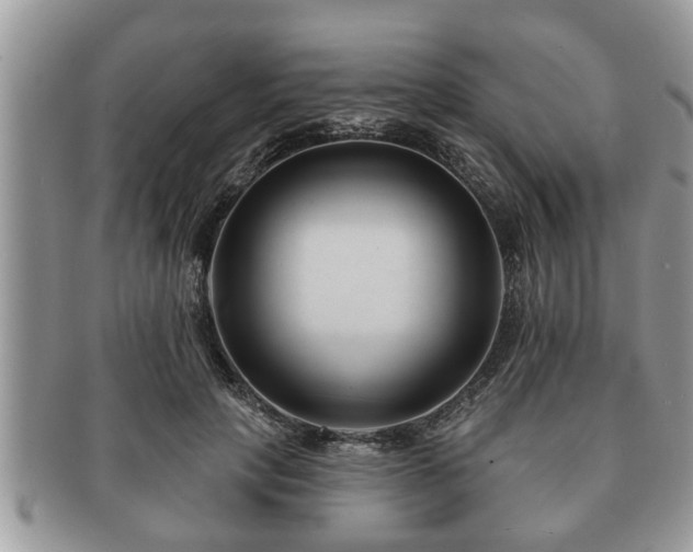 X0000091170649200708161459