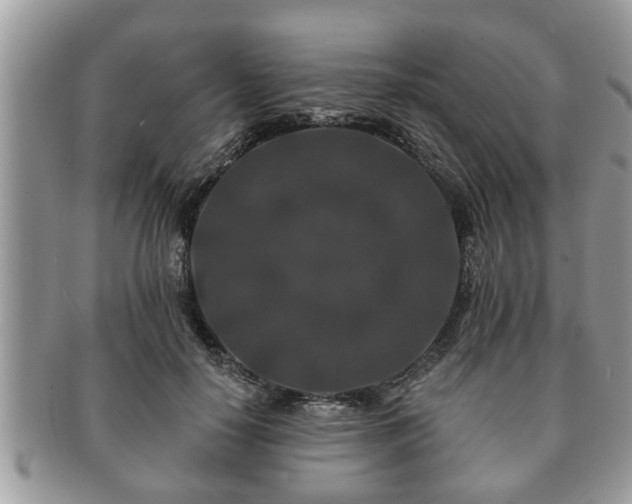 X0000091170650200708161459