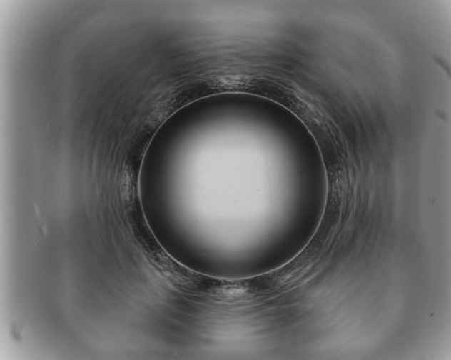 X0000091170651200708161459