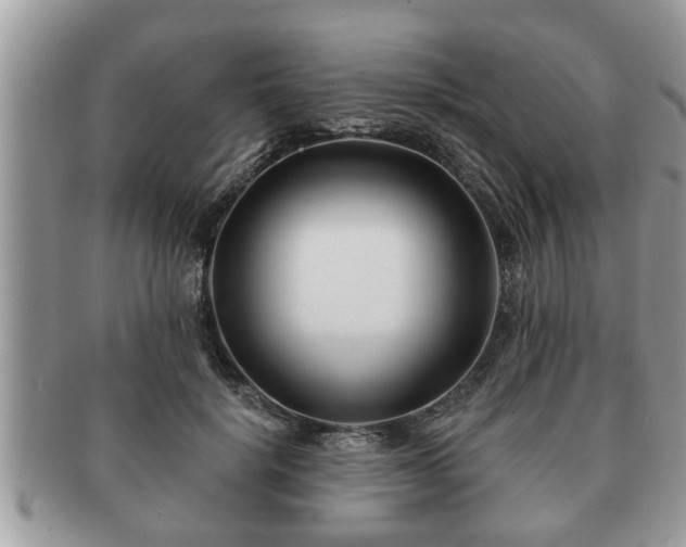 X0000091170652200708161459