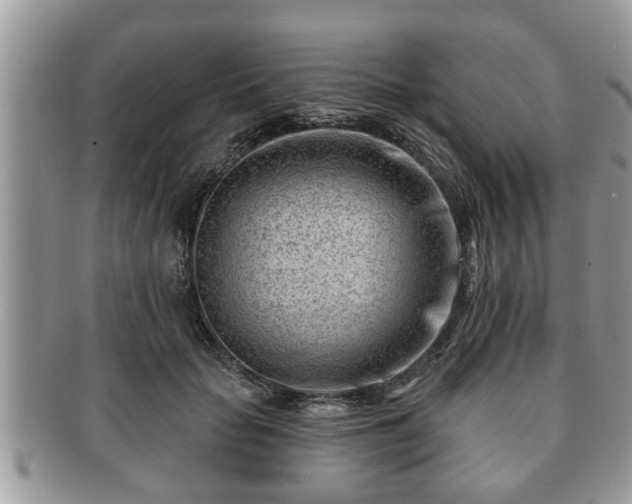 X0000091170653200708161459